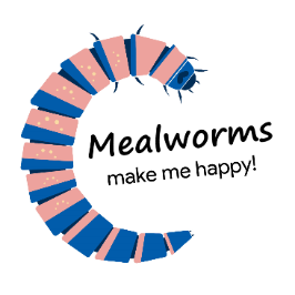 Raising Mealworms for Beginners - Starting 3/7/23